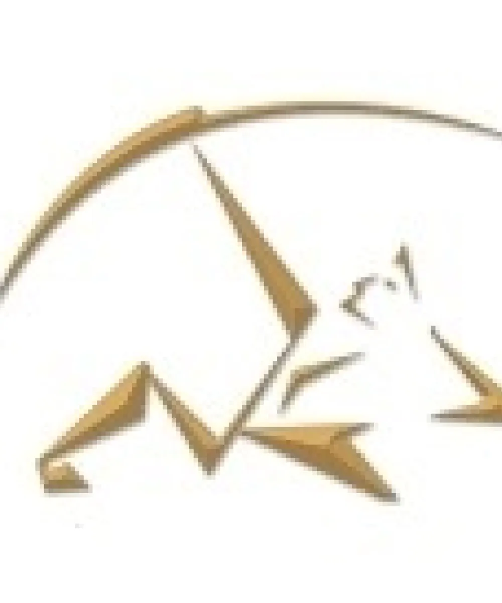 Centaurus Financial